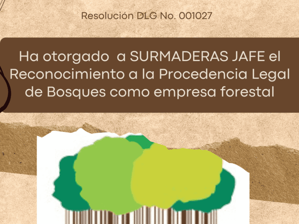 RECONOCIMIENTO DE LA MADERA LEGAL Y LA RESPONSABILIDAD DEL CONSUMIDOR