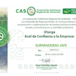 ¿Un aserradero de madera puede ser un negocio verde?