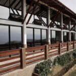 ¿Si usás sapán te va a encantar la madera cumarú?