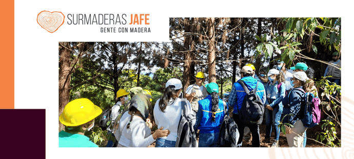 Surmaderas Jafe y ASAFACH: Una Alianza que Construye Futuro