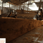 ¿Cómo se conocen las empresas de madera en Colombia?