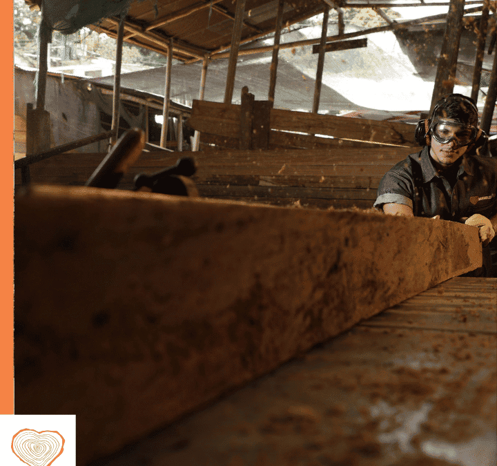 ¿Cómo se conocen las empresas de madera en Colombia?