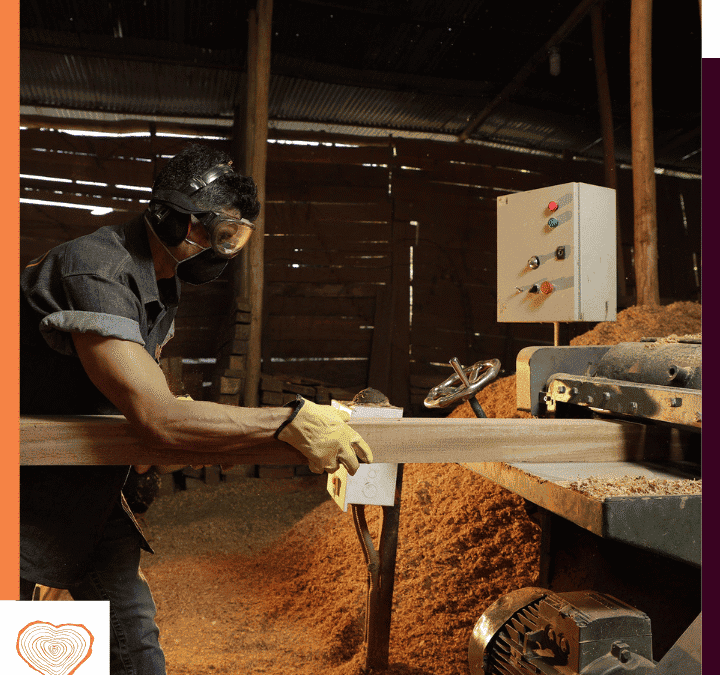 La importancia de elegir madera