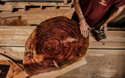 Aserrío de madera legal en Colombia para proyectos de construcción.